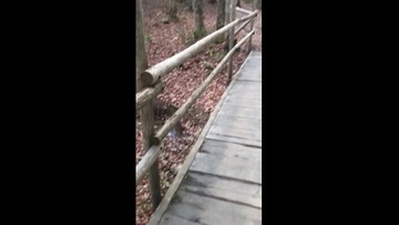 Syrian Refugee Sucks Cocks in German Forrest