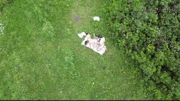 Fucked his hot chick outdoors